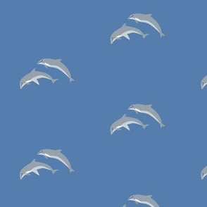 dolphins - blue