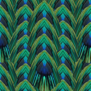 Peacock Feathers Deco Stacked Stripes