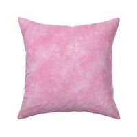 Soft Pink Maidenhair Sunprint Texture