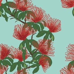 Australian Waratah