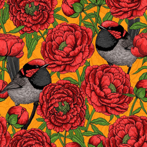Peonies and wrens