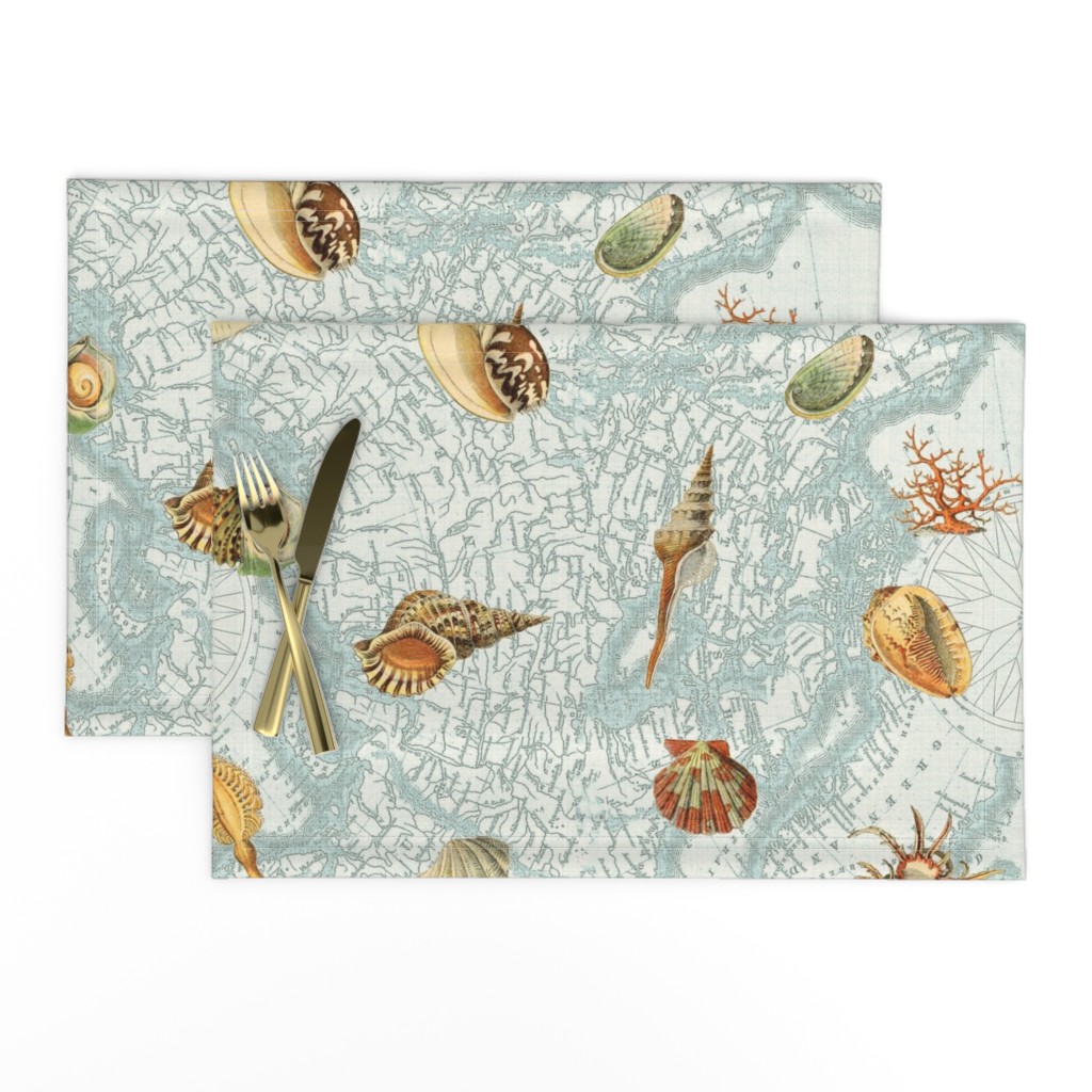 Nautical Map w  Sea Shells