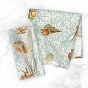 Nautical Map w  Sea Shells