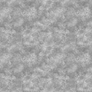 Gray Soft Sunprint Texture