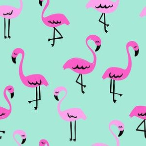 Miami Flamingos // Mint