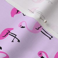 Miami Flamingos // Purple Power