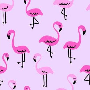 Miami Flamingos // Purple Power