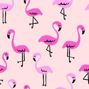 Miami Flamingos // Dusty Pink