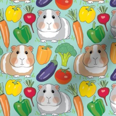 guinea-pigs-and-veggies-on-teal