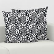 3D Optical Pattern Black and White-White Cubes-01