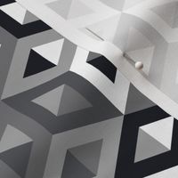 3D Optical Pattern Black and White-White Cubes-01