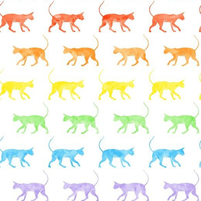 Sphynx cat - watercolor rainbow hairless cat - LAD19