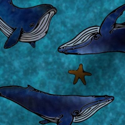 Starry Whales