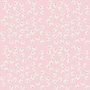 Carnival Candy Pink 1 // small