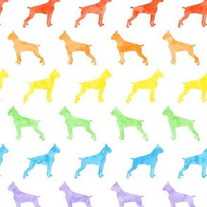 boxer dogs - rainbow (cropped) - LAD19