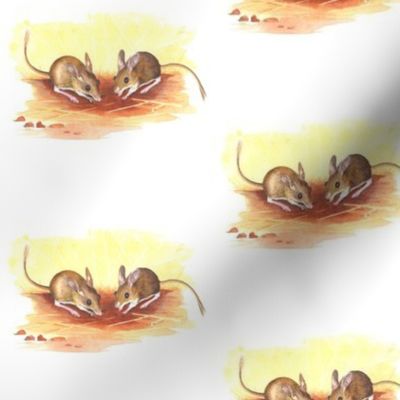 Hopping mice white background.yellows