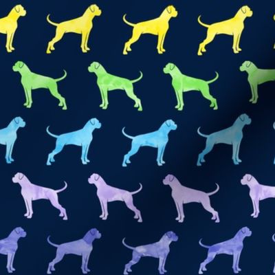 boxer dogs - rainbow on navy - LAD19