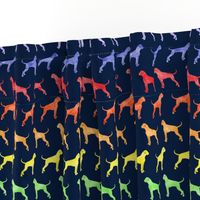 boxer dogs - rainbow on navy - LAD19