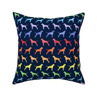 boxer dogs - rainbow on navy - LAD19