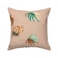 hermit crab nautical blush