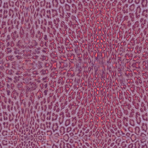 leopard_cassis-coral-lilac