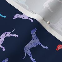 Dalmatians dog - rainbow on navy - LAD19