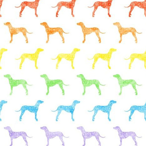 Dalmatians dog - rainbow  - LAD19