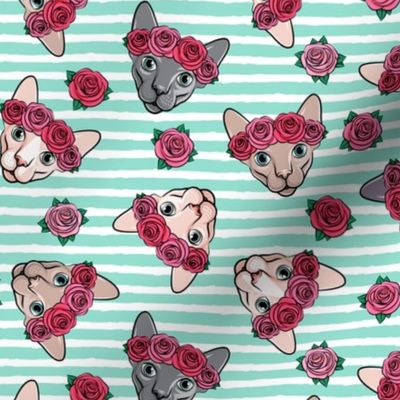 Floral Crowned Sphynx - aqua stripes - hairless cat - LAD19