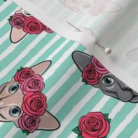 Floral Crowned Sphynx - aqua stripes - hairless cat - LAD19