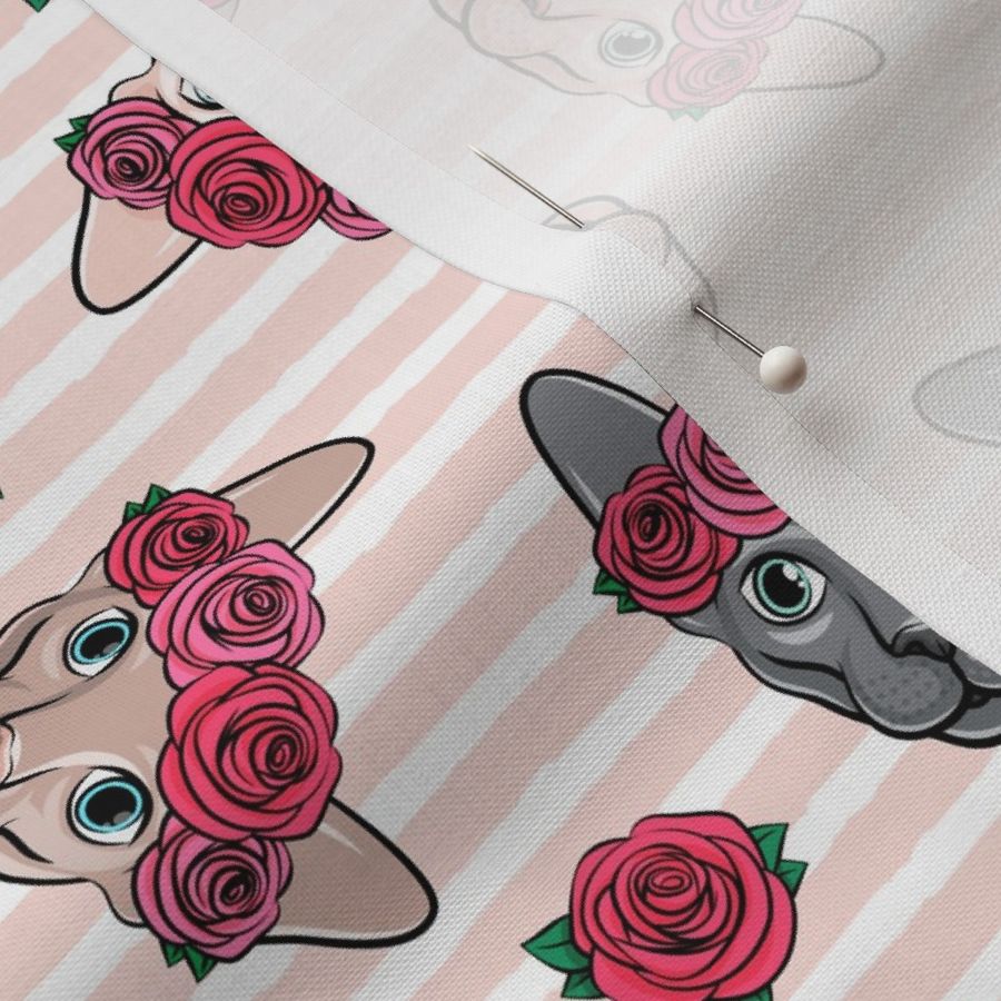 Floral Crowned Sphynx - pink stripes - hairless cat - LAD19