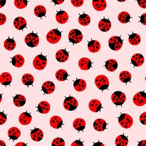 Litlle Lady bugs // Dusty Rose