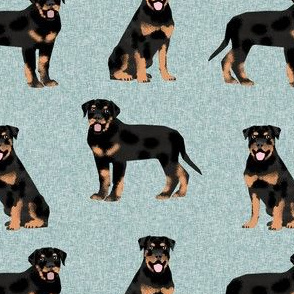 rottweiler dog fabric - dog fabric, dogs fabric, rottweiler dog fabric - dogs floral fabric - blue