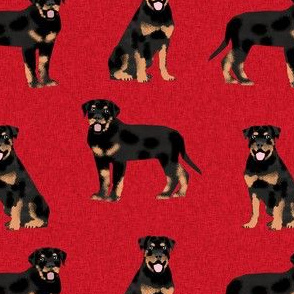rottweiler dog fabric - dog fabric, dogs fabric, rottweiler dog fabric - dogs floral fabric - red