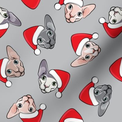 Santa Sphynx - grey - hairless cat - LAD19