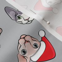 Santa Sphynx - grey - hairless cat - LAD19