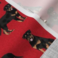 rottweiler cheater quilt fabric - dog quilt, dog fabric, pet friendly, buffalo plaid, buffalo check, fabric - red