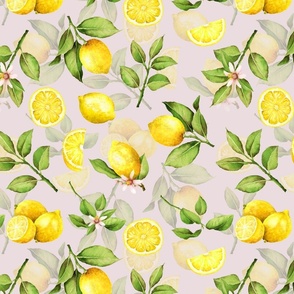  14" Lemonade - Summer Mediterranean Fresh hand drawn lemon branches and slices on pink - double layer