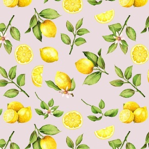 14"  Lemonade - Summer Mediterranean Fresh hand drawn lemon branches and slices on pink