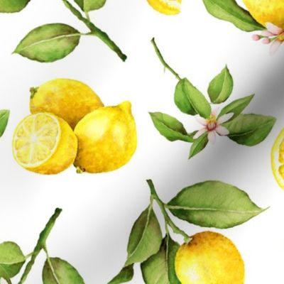  14" Lemonade - Summer Mediterranean Fresh hand drawn lemon branches and slices on white 