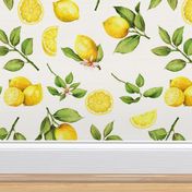  14" Lemonade - Summer Mediterranean Fresh hand drawn lemon branches and slices on white 