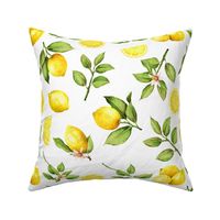  14" Lemonade - Summer Mediterranean Fresh hand drawn lemon branches and slices on white 