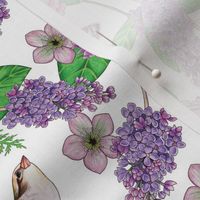 Lilacs, Peonies, Hellebore, & Sparrows - Pink & Purple Flowers w/ Birds & Moths