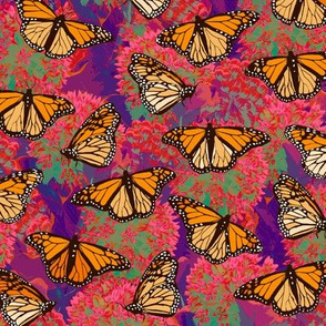 Monarchs and Milkweed