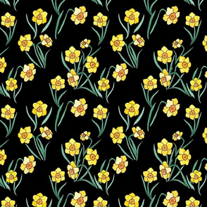 Daffodils on black