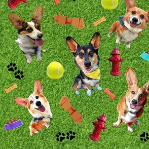 Cartoon Corgi Dog Park