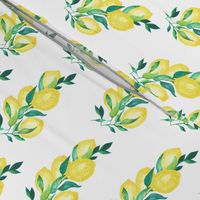 Lemon Branch White|Citrus Tree|Renee Davis