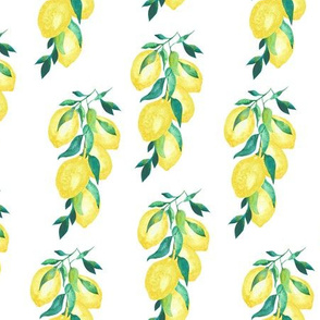 Lemon Branch White|Citrus Tree|Renee Davis