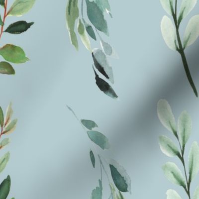 eucalyptus leaf on blue