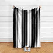 Black and White Vertical Beach Hut 1" Stripes