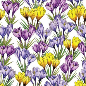 Purple & Yellow Crocus Pattern - Colorful Flowers For Spring
